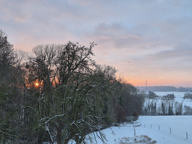 Jardin des neiges &agrave; domicile?