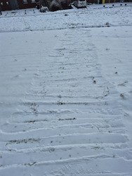 Jardin des neiges &agrave; domicile?