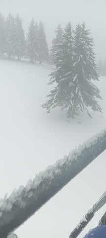 singing in the shower