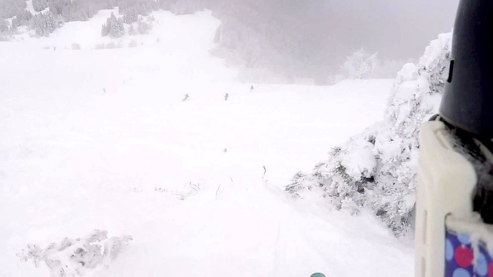 de la pow et des sapins!