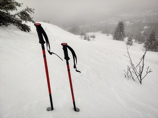 Test neige au Collet