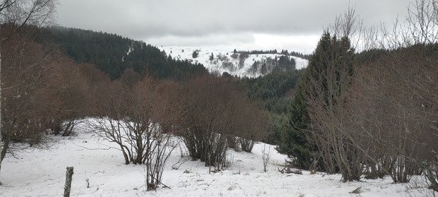 Un peu bizarre &agrave; skier mais pas mauvais 