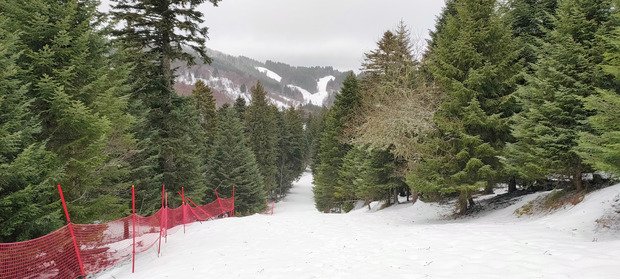 Un peu bizarre &agrave; skier mais pas mauvais 