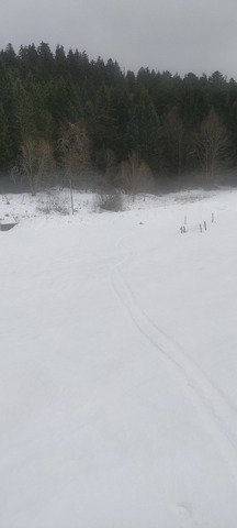 Un peu bizarre &agrave; skier mais pas mauvais 