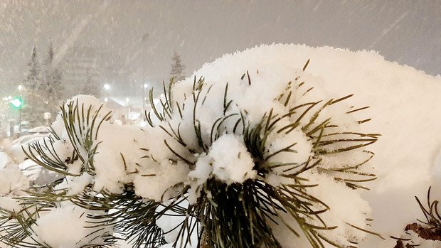 La neige fra&icirc;che arrive !