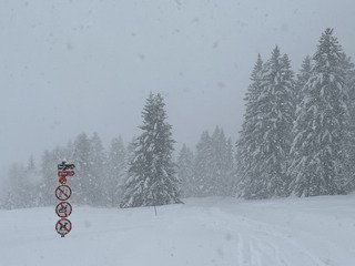 Il va y avoir du sport (sur la route au moins 🤪)