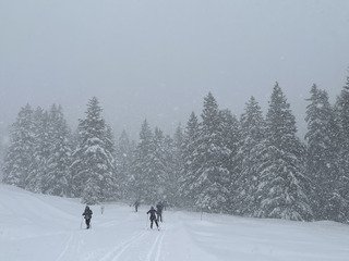 Il va y avoir du sport (sur la route au moins 🤪)