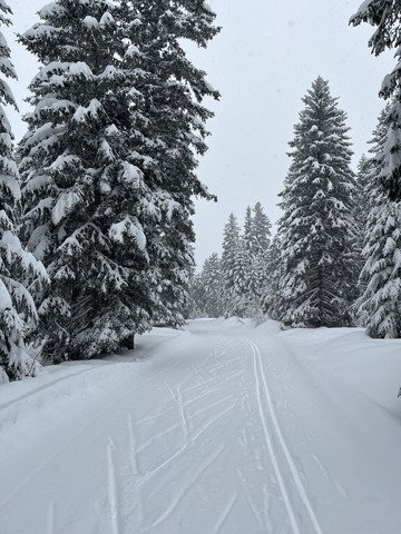 Il va y avoir du sport (sur la route au moins 🤪)