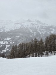 Une journ&eacute;e de janvier au Seignus