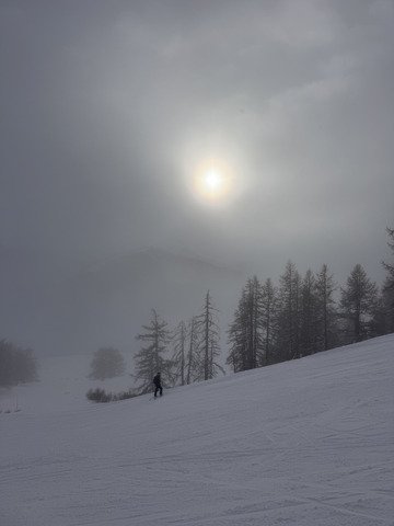 Enfin! Le retour de la vraie neige 