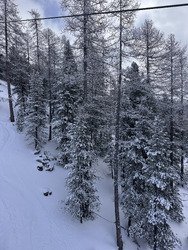 Enfin! Le retour de la vraie neige 
