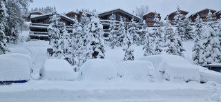 Miracle, la neige est revenue 😍