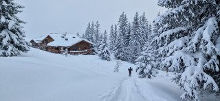 Miracle, la neige est revenue 😍