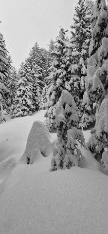 Miracle, la neige est revenue 😍