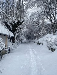 Saint-Pierre-des-Neiges