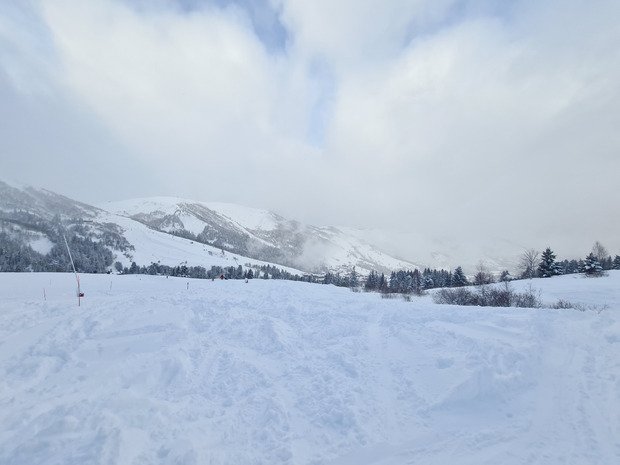 Y en aurait presque trop