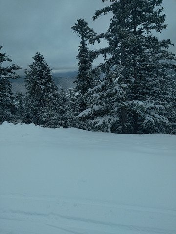 Le bonheur simple comme 25 cm de neige