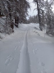 Koalinette au col de la Gardette