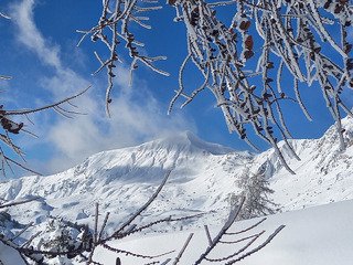 Koalinette au col de la Gardette