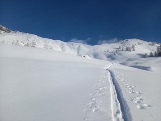Koalinette au col de la Gardette
