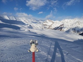 Koalinette au col de la Gardette