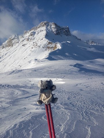 Koalinette au col de la Gardette