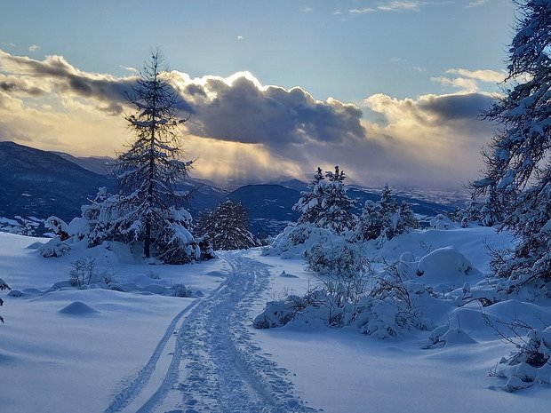 Koalinette au col de la Gardette