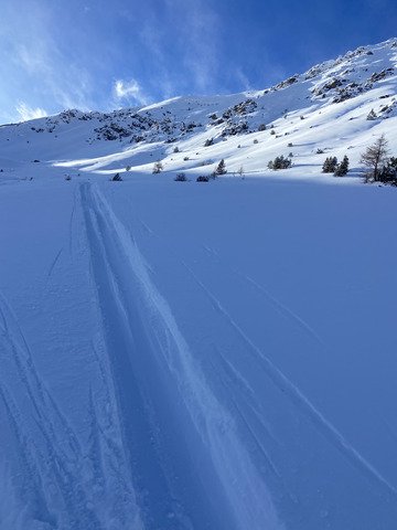 Juste wouah quasi partout ❄️✨