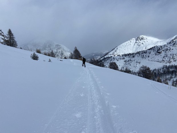 Juste wouah quasi partout ❄️✨