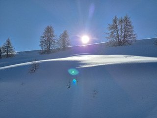 Belle d&eacute;couverte 