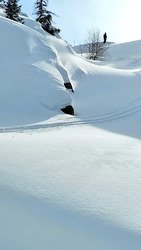 La magie d'Oz ! Un vrai r&eacute;gal ❄🤩