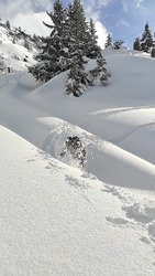 La magie d'Oz ! Un vrai r&eacute;gal ❄🤩