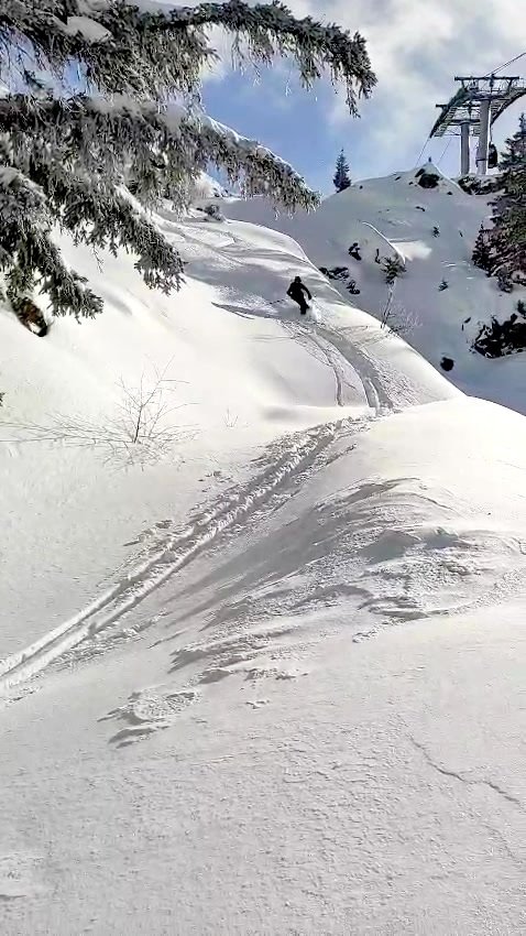 La magie d'Oz ! Un vrai r&eacute;gal ❄🤩