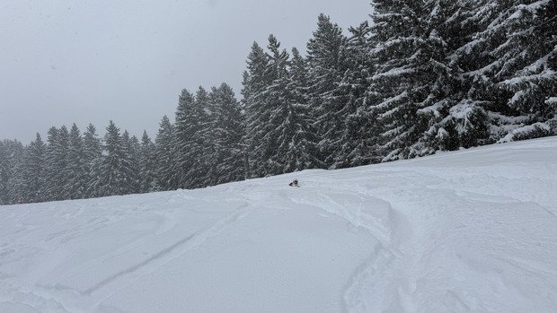 Et oui, ici Hosetlo, il neige..