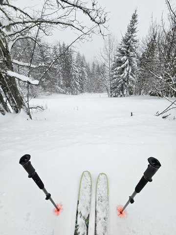 Journ&eacute;e 5 P : Poudre - PIDA - Peaux - Prariond - Plongeon