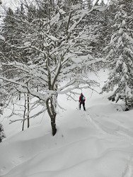 Journ&eacute;e 5 P : Poudre - PIDA - Peaux - Prariond - Plongeon