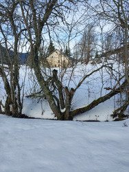 De retour sur la neige