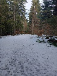 De retour sur la neige