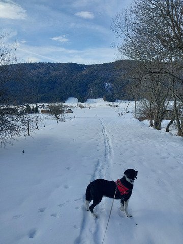 De retour sur la neige