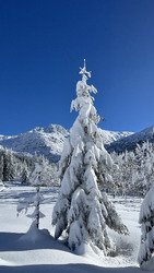 La journ&eacute;e parfaite de janvier