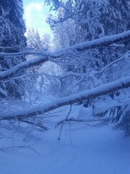 Belle couche aux Houches