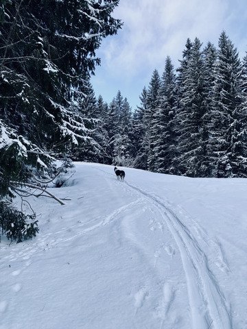 On &eacute;vite les grandes pentes 