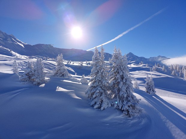 Gavage... et prudence 😱😎