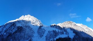 Gavage... et prudence 😱😎