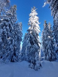 Gavage... et prudence 😱😎