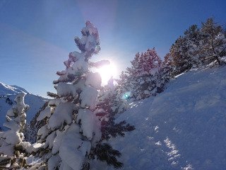 Gavage... et prudence 😱😎