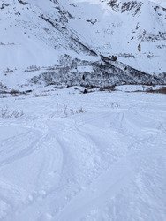 Toujours de quoi se faire plaisir 