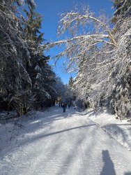 Ouverture du Col de Picotalen