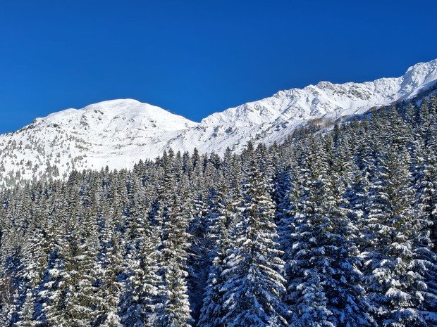 Une journ&eacute;e comme on n'a pas eu depuis longtemps ! 