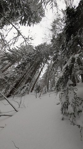 De 950 &agrave; 2000m..